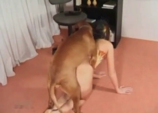Doggy is enjoying my wife