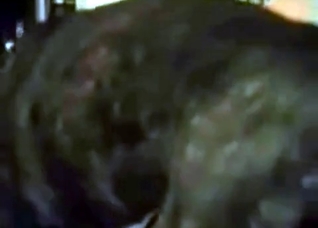 Wife fucked by a muscled beast