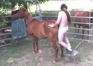 Horse screwed from behind