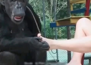 Zoophile trains her sexy monkey