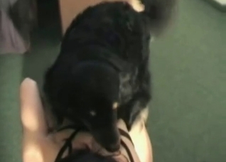 Trained pet and slender woman