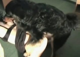 Trained pet and slender woman