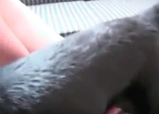 Zoophile wets a doggy wiener