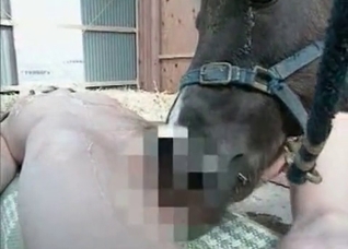 Horse licks a juicy wet pussy