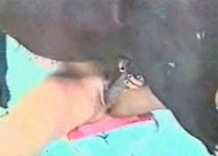Black snatch filled out by a horse
