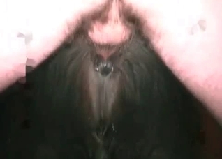 Slow anal sex in the zoo porn