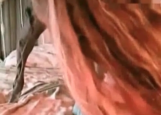 Wank that hard doggy wiener