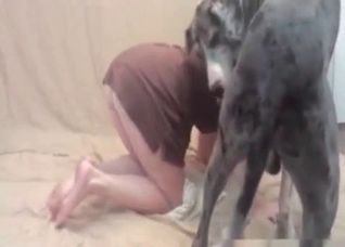 Sweet slut screwed by her dog