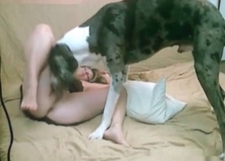 Sweet slut screwed by her dog