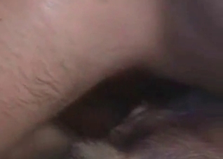 Dog likes my dick inside