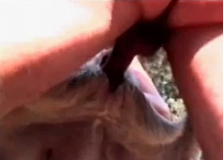 Outdoor zoo porn with a couple