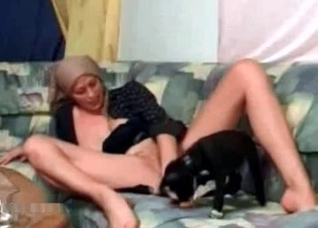 Petite puppy licks a wide muff