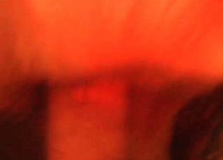 Animal anus is okay for my dick