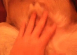 Animal anus is okay for my dick
