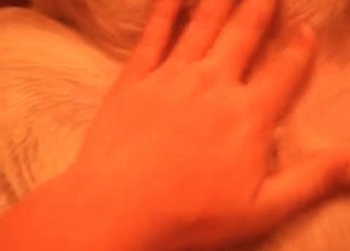 Animal anus is okay for my dick