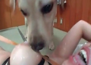 Creamy snatch for a sweet dog