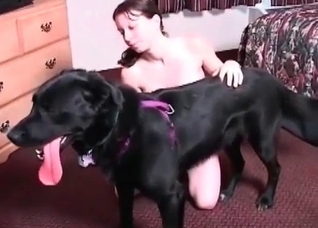 Trained black beast and zoophile