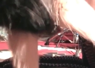 Fast dog masturbation action