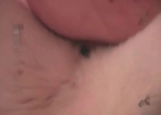Dog fucker and submissive pet
