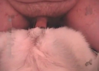 Dog fucker and submissive pet