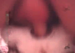 Dog fucker and submissive pet