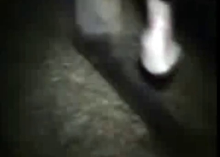 Bestial sex in the night scene