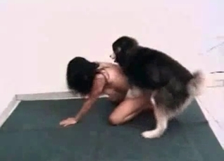 Husky licks a juicy wet booty