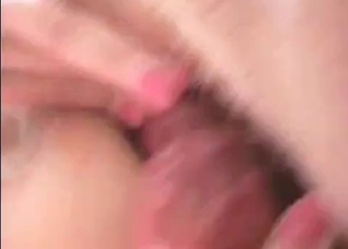 Hard red dog cock in a cunt