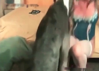 Playful girl adores her animal