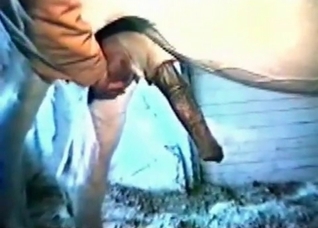Horse becomes horny as hell