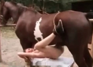 Banged hot by a stallion wiener