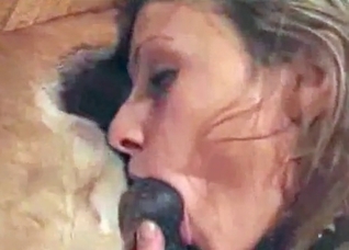 Sex in the 69 with a trained dog