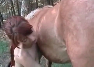 Redhead plays with a stallion