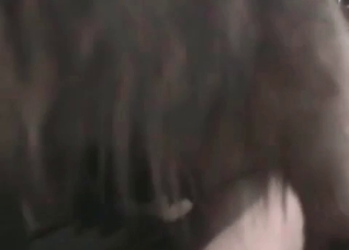 Dog want to fuck her twat