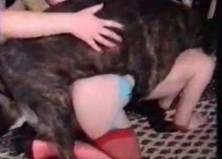 Red stockings make this dog horny