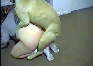Trained dog is screwing like a pro