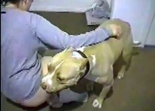 Trained dog is screwing like a pro