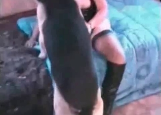 Watch how I am playing with a dog