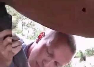 Horse with a truly impressive cock