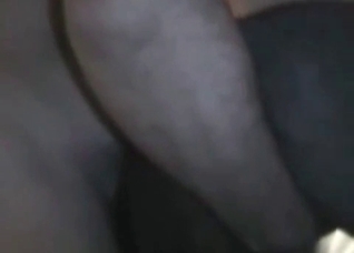 Anal try out in the bestial porn