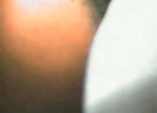 Stallion adores anal fingering