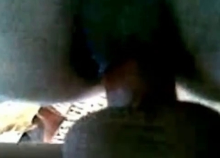 Stallion ass swallows a dick