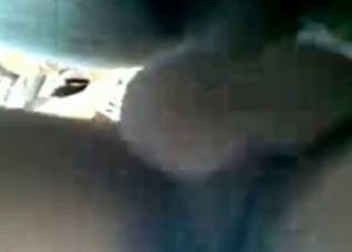 Stallion ass swallows a dick