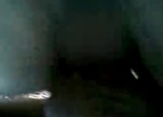Stallion ass swallows a dick