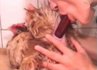 Cock gets fucked by a sex toy