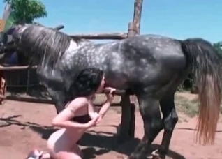 Kinky zoophile falls on the knees