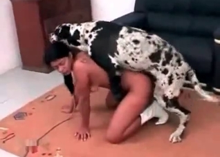 My spotted dog is a perfect fucker