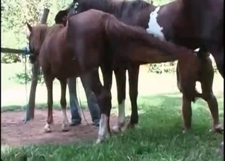 Kinky pervert screwed at the farm