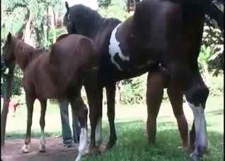 Kinky pervert screwed at the farm