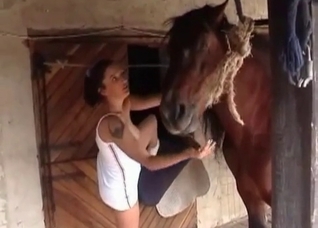 Horse and my sister in the barn